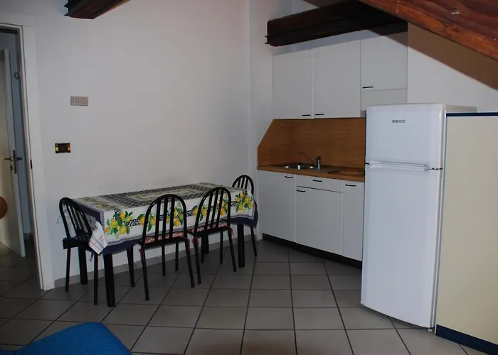 Primula Алассіо